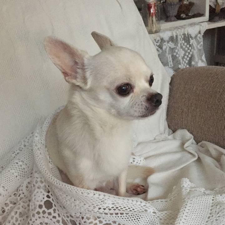 F444c09a 9fd7 4ce0 8c0f c5ec4d76364b