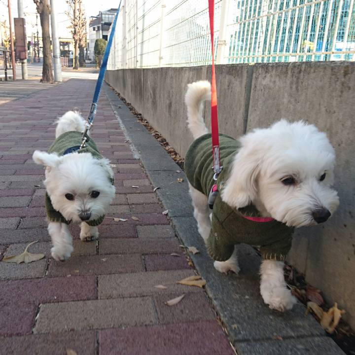 F4452375 8ea5 46f8 bde1 1b747b4e9a70