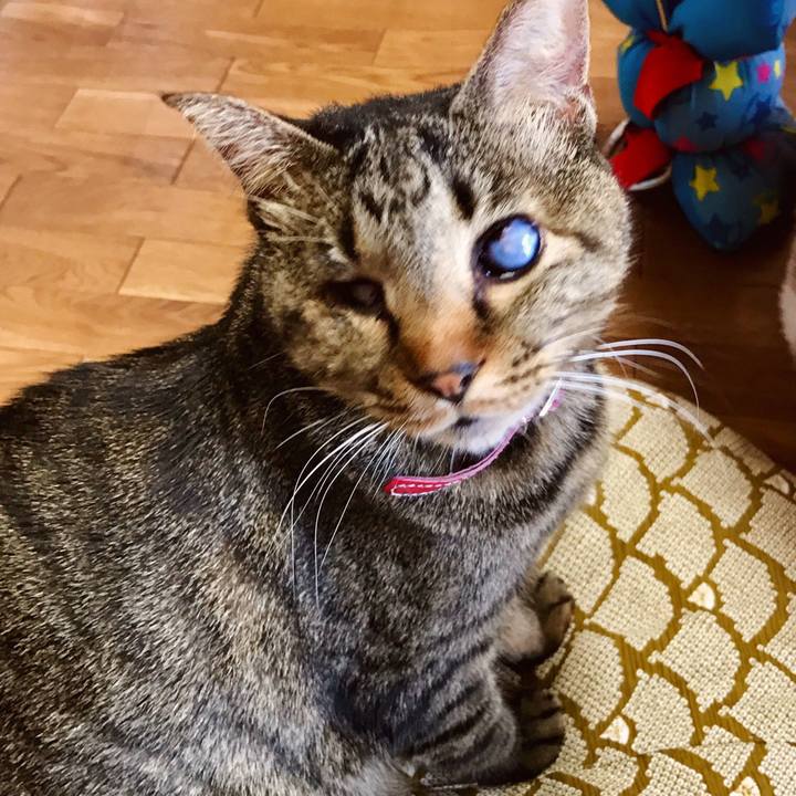 F4453e52 79db 45a3 938e 9602a578abc2