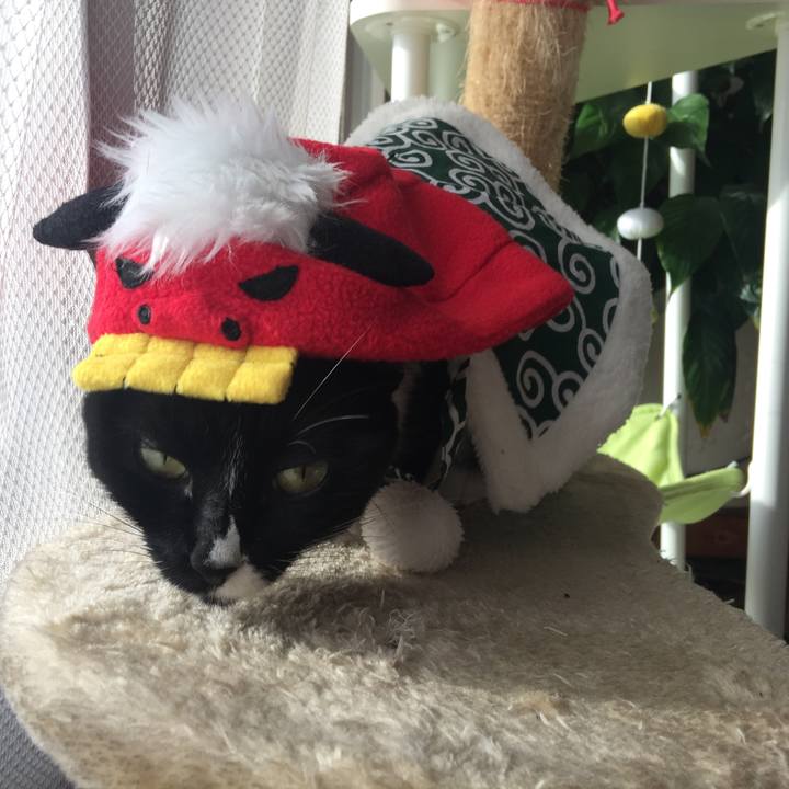 F44542c7 494b 4b3c 95f5 5a458c1856d0