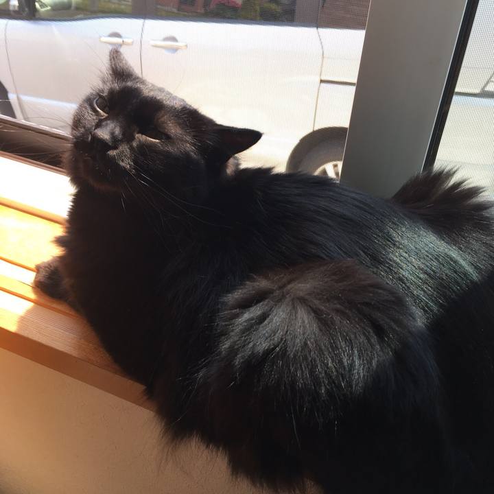 F4456065 1e2e 4581 8856 8d3ec759dc3e