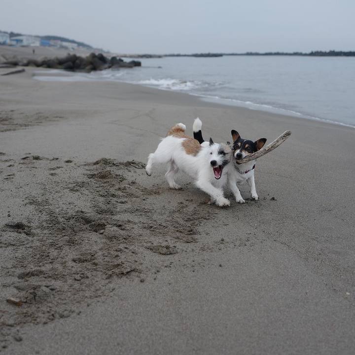 F445ffcf 93d9 497e b79d 70ccfc2a40fb