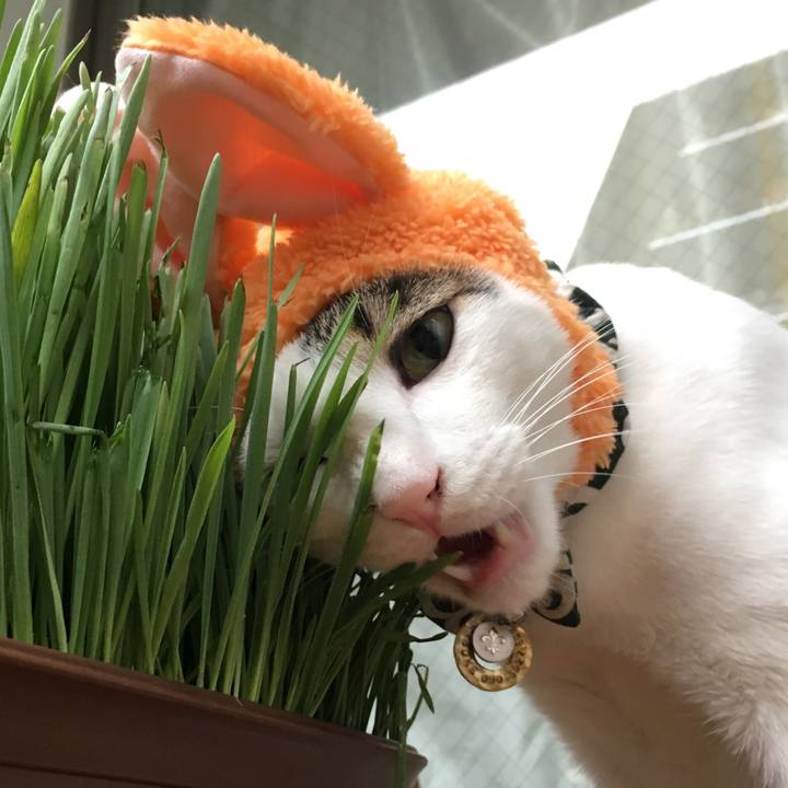 F447fa86 8857 4757 bd58 b55e8ea95d7e