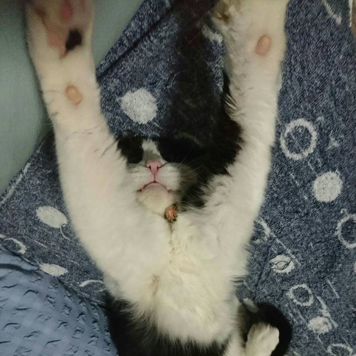 F4481582 4213 428d bfbc 638349b53917