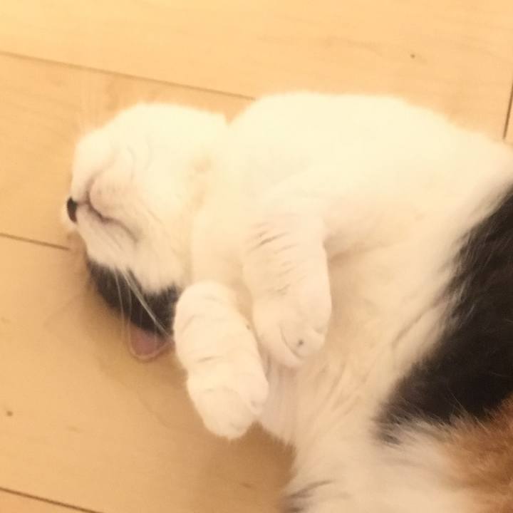 F44840a3 19f7 4cf7 b54f 54a57a0da44b