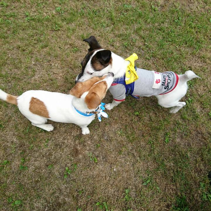 F4489d56 2f18 4be5 9a07 805439524817