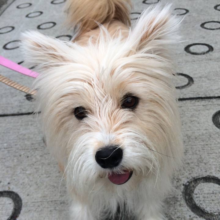 F44919b9 cd21 4efa 82c0 f7863167f68b