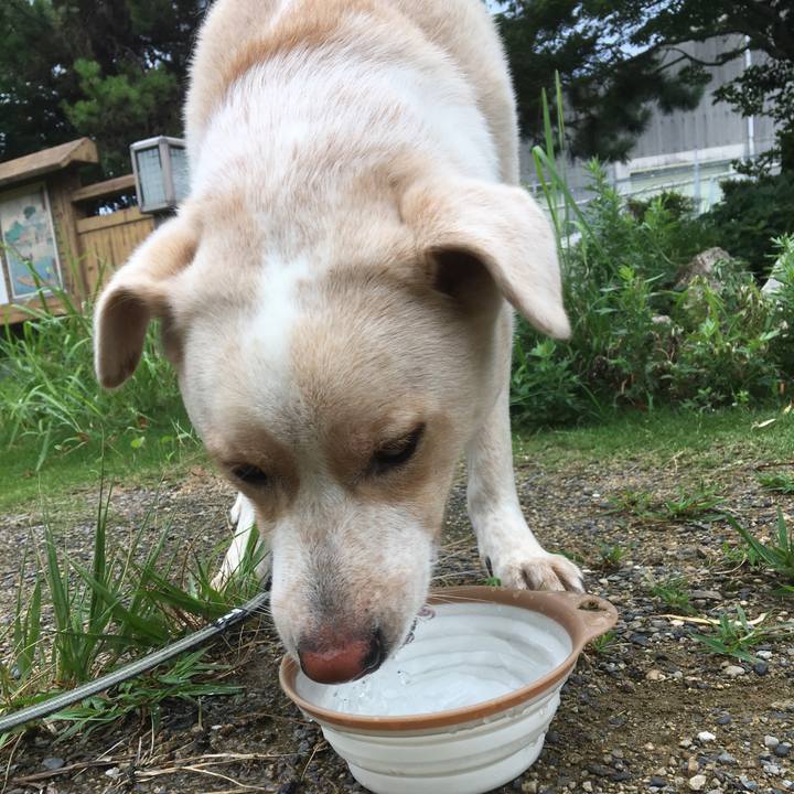 F44b0793 9ce1 4349 aa87 bff20c44ed88