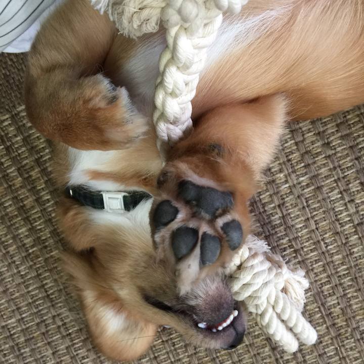 F44b387f 90ea 4216 8eed f3cd6a9bff58