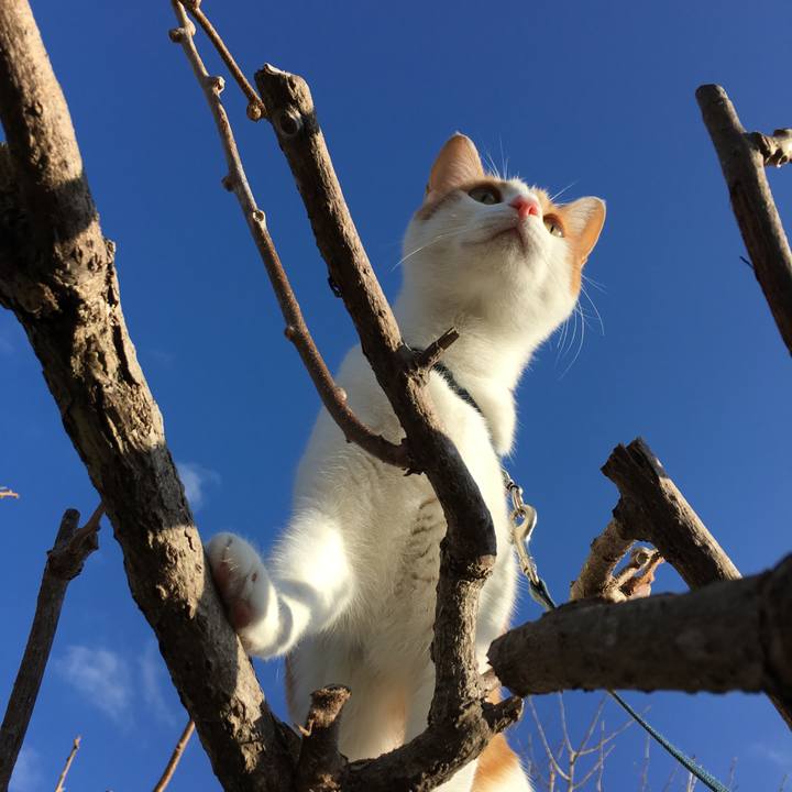 F44b70c4 3f2d 48b1 85bf a56ebd3b66e3