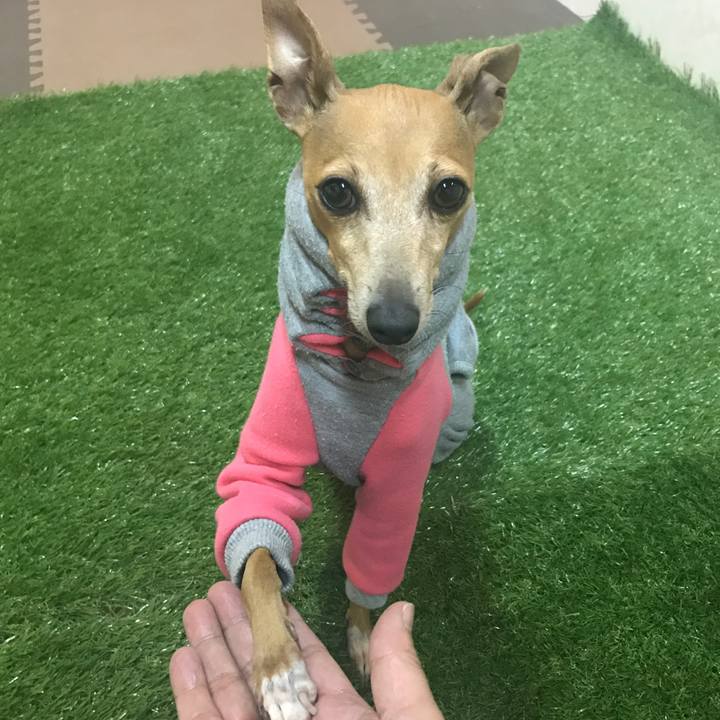 F44b8b00 47aa 4bfa 883a fc8a35d45fcb