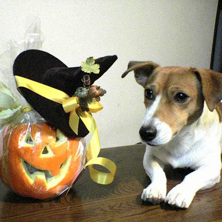 F44b9be1 915c 4d39 b0b6 5574f04d6d4c