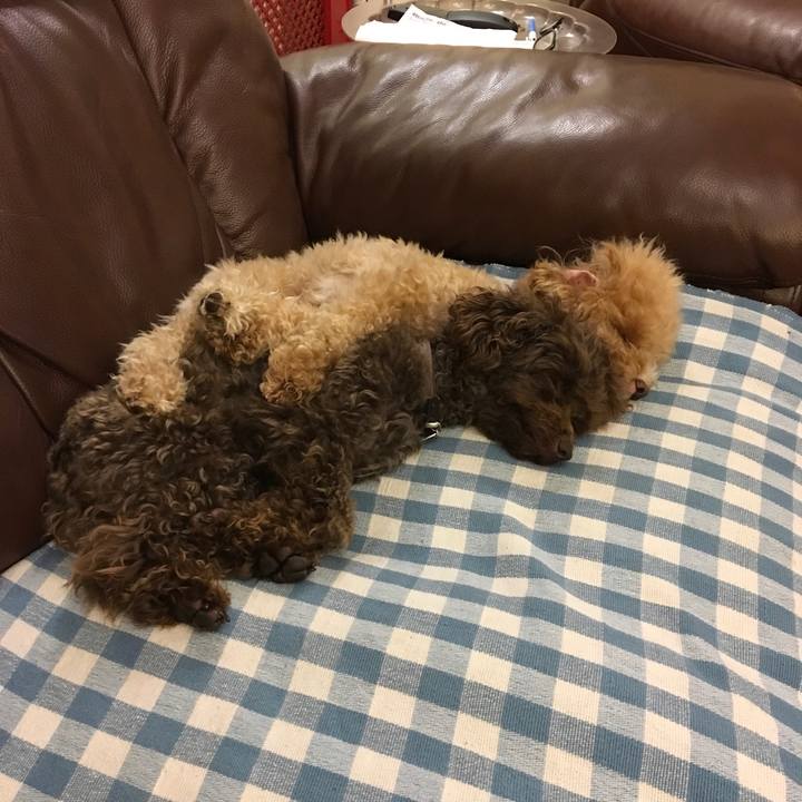 F44bdc29 f660 4aaf ac32 340a04aaeb2d