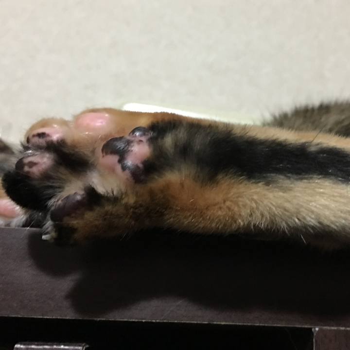 F44c1466 cc08 4f90 96f7 20d5f29324ca