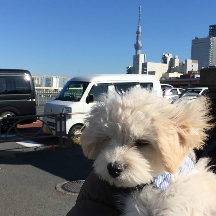 F44c3e8c bc30 41ae b2df dcbc8f5e5757