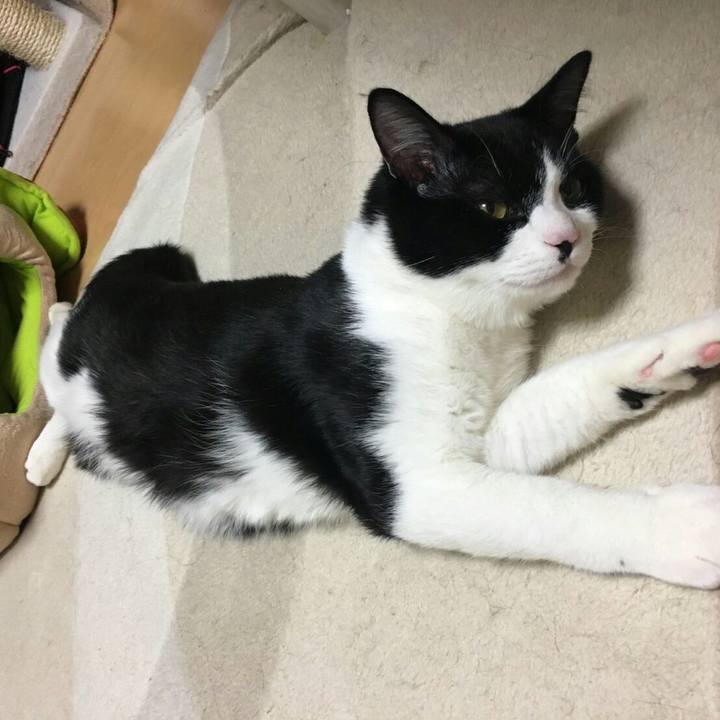 F44ca39e 805c 4237 832e 5a45ce2f1972