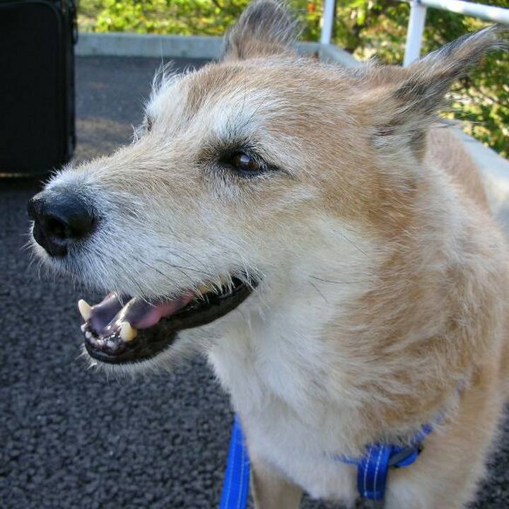 F44cf17e f08a 415c 8f82 8dbbb17d5fc7