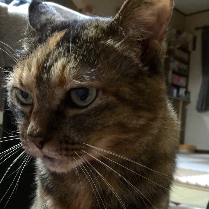 F44d536b 549b 4cd6 8c4b 722340de8919