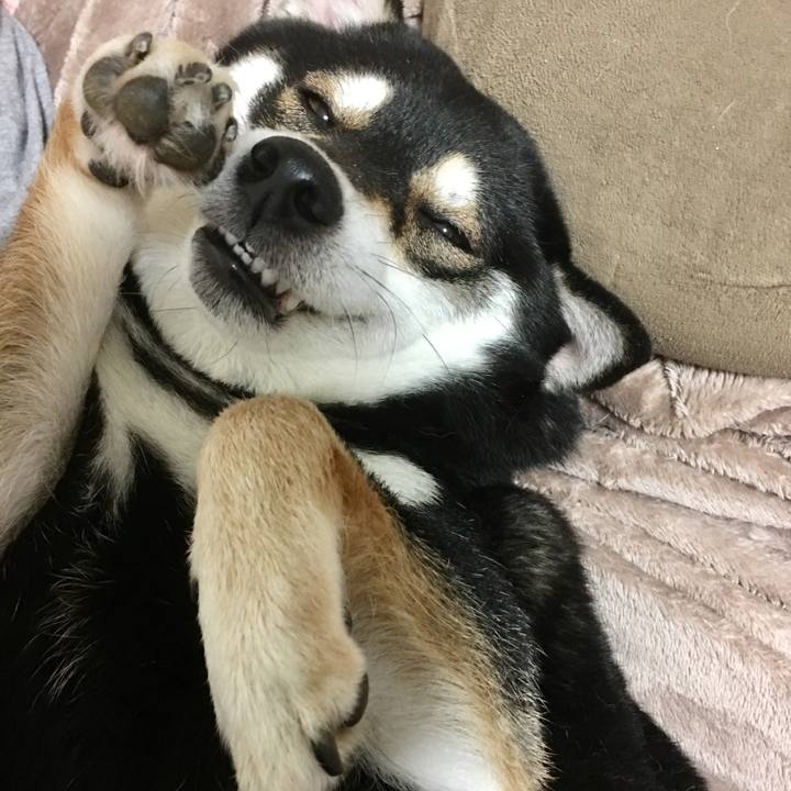 F44f3dd9 6c78 402d b686 7529c4406d13