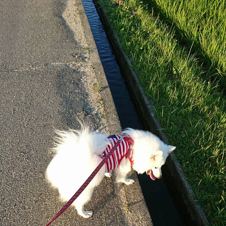 F44f4018 d830 4c1a b8dd 2a701f5223d0