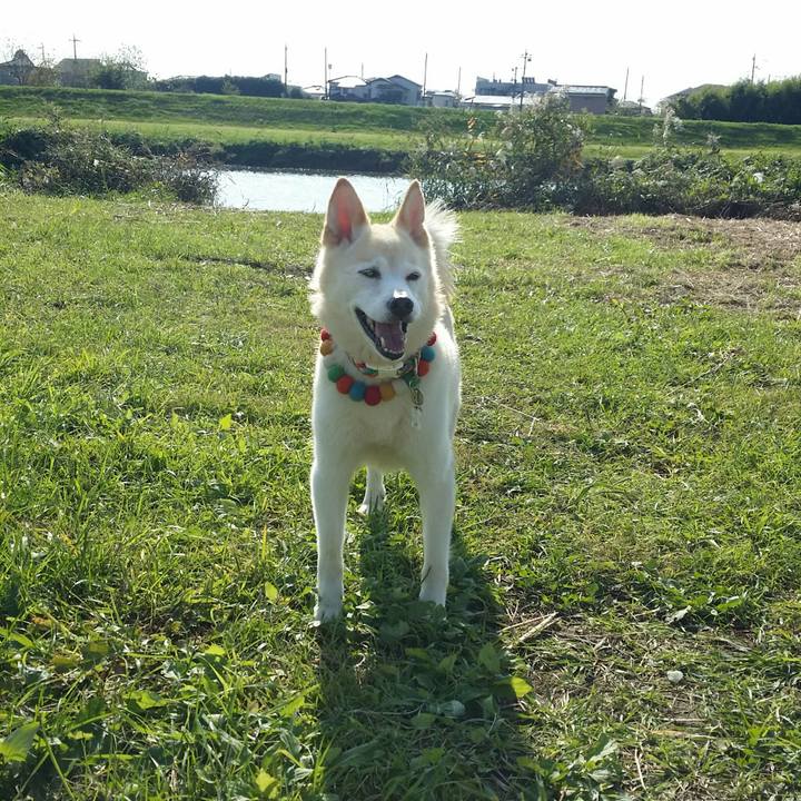 F44f4d0b 96db 483c bf5f 882512dafeb7