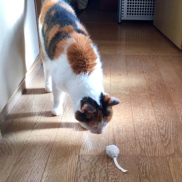 F45077d4 0eb6 4b34 8777 0a99faffca0d