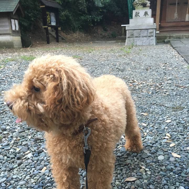 F451b4f4 451c 4401 b981 7fe7143a376f