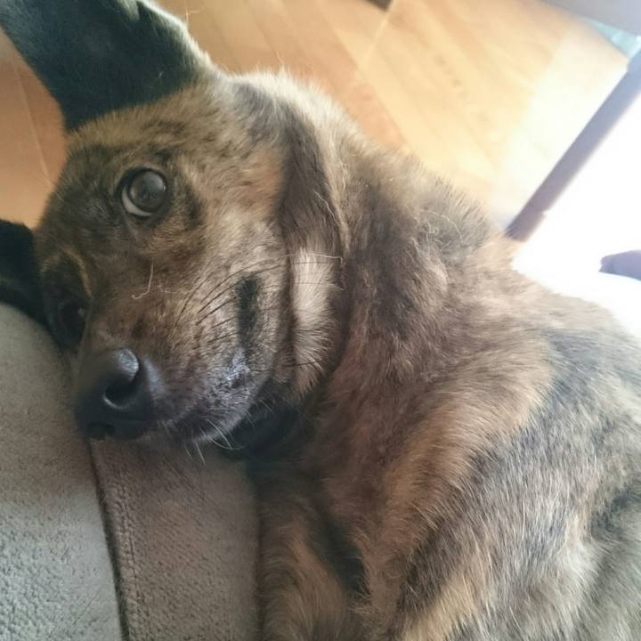 F451d187 f0f2 41db 924a 57e52eb7f198