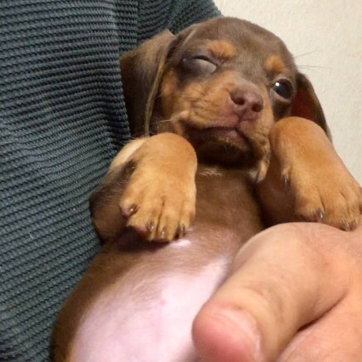 F451f4cb ad6c 48e6 9acc 62b090a188b4