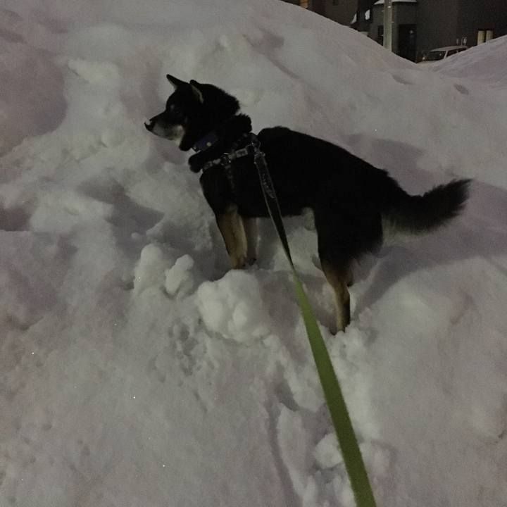 F451ffe1 31e1 4815 9f94 c049609ff3cf