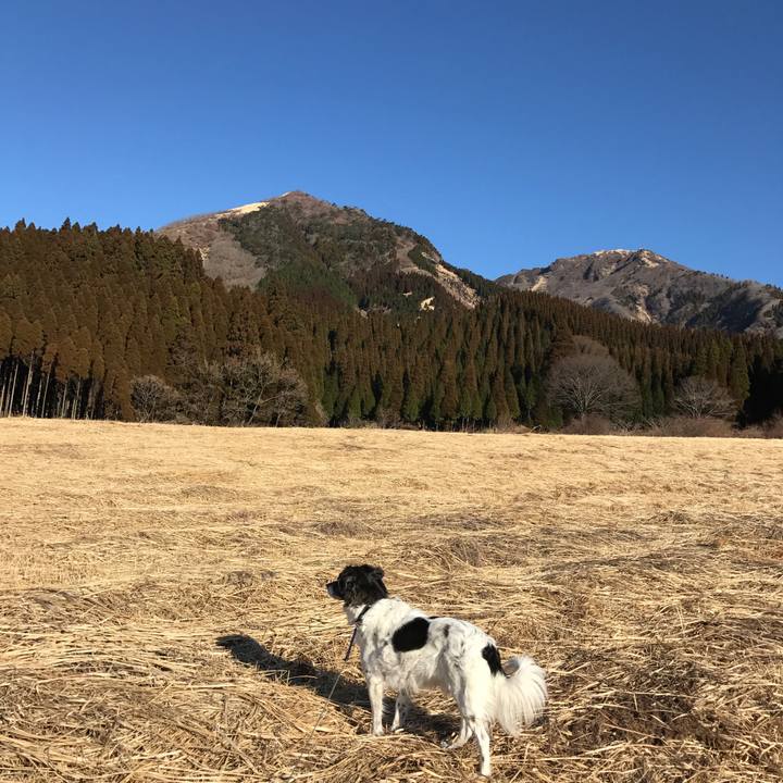 F45248f2 b9df 4931 aa04 0a1d9ab02b36