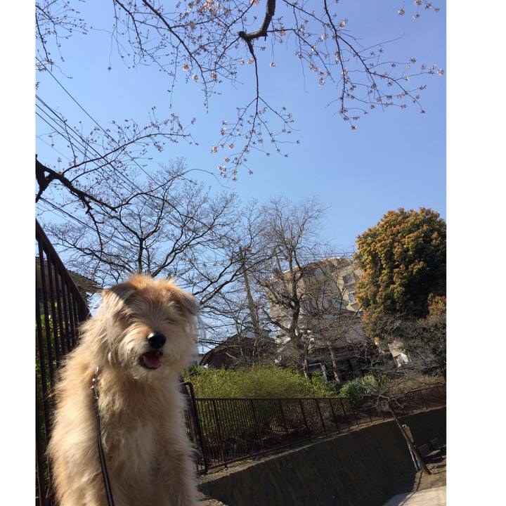 F452b93e 0829 47aa b8cf b456a19601e7