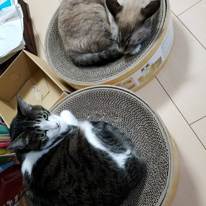 F4533ece 0239 4f06 85e4 e5726cd8438b