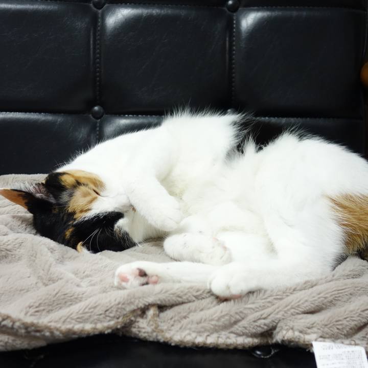 F45347ec 6c08 44fa bfab 444872909884