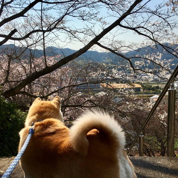 F453b610 4a64 47ce 8722 9c264746a60b