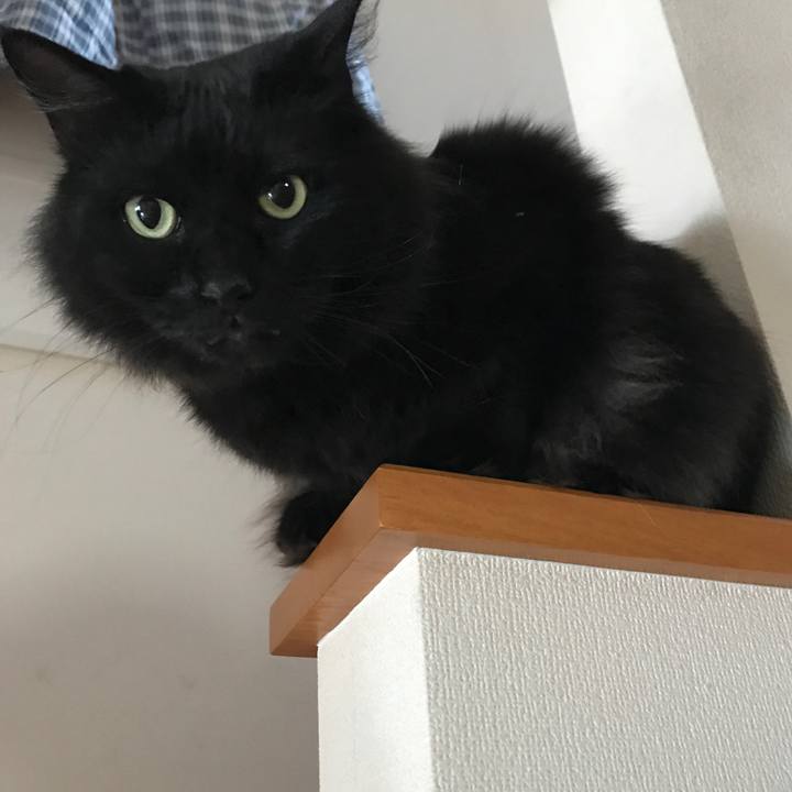 F454056c 51ff 4443 9f56 c35b331e1cb0