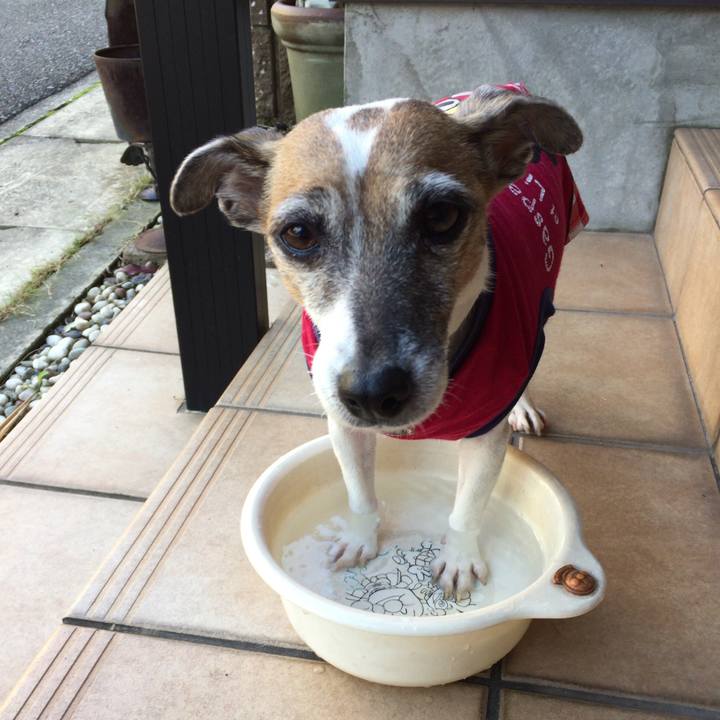 F4544c19 1db6 458c 8eed 2d234480ca31