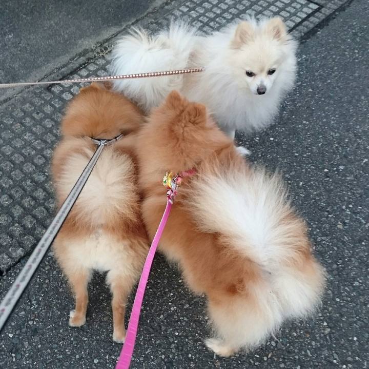 F4550b63 b666 40de 81da afefa62c289d