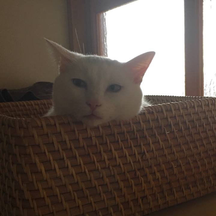 F455552b 6077 4fab 85a7 3d3dde34fdb1