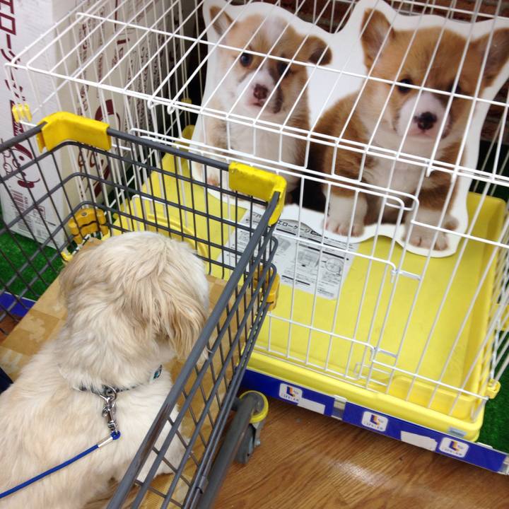 F4566e3d d884 49e3 904d 85241ad955e7