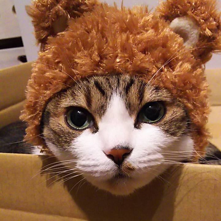 F45695fc 8056 4898 a913 680787377704