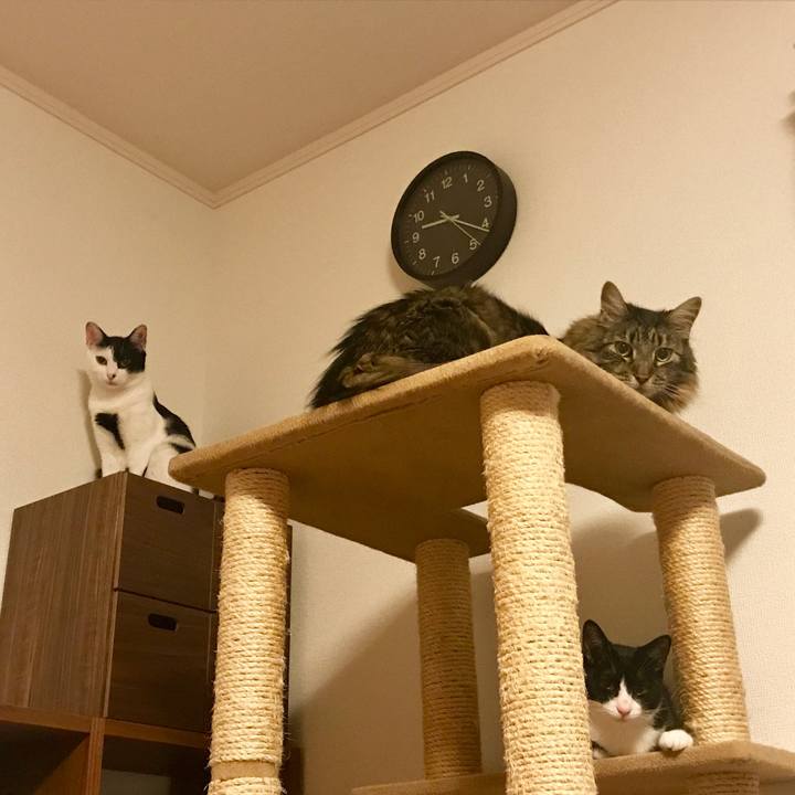 F457d0a1 036a 4ee9 b65f c068643258af