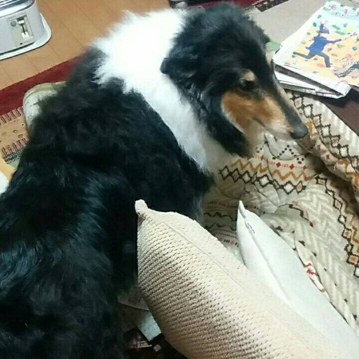 F458496b 6666 4501 b399 526cb0a6ab7a