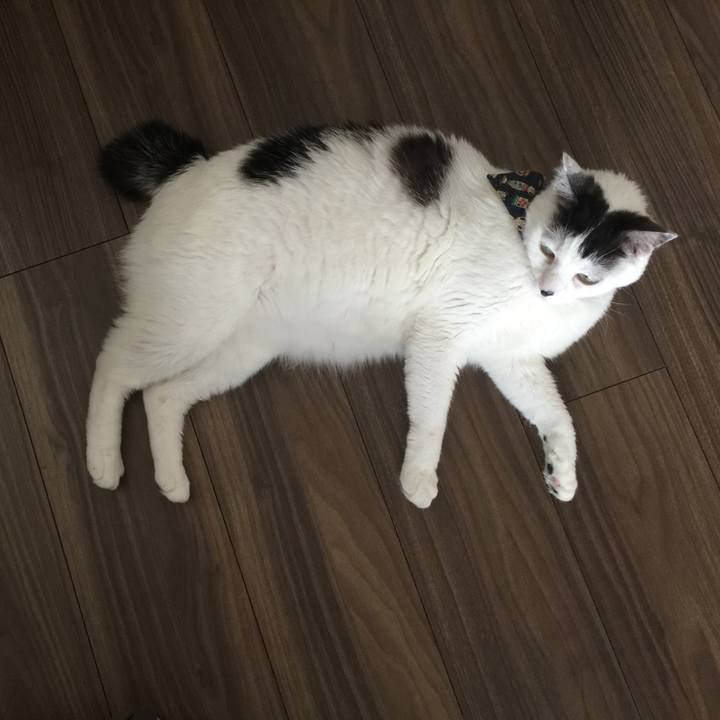 F4584dc5 34c3 4f1d aed4 d36b37d9e038