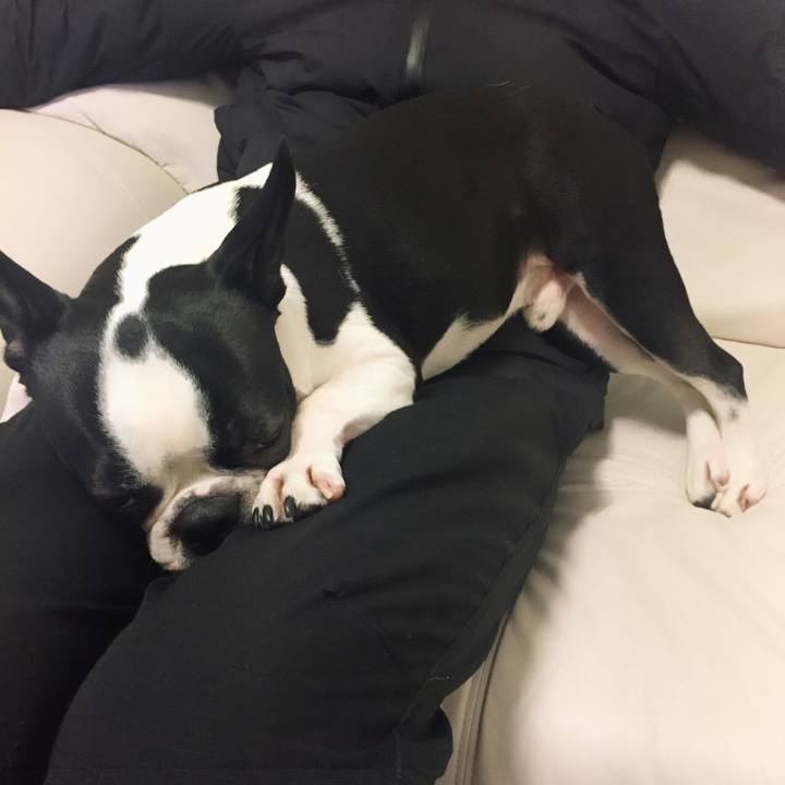 F4585085 2884 4b48 9eaf f4c0d03e740c