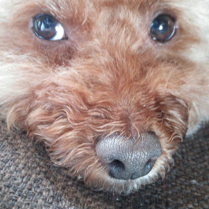 F458619e 5030 44e3 aada 95ab6ecf3120