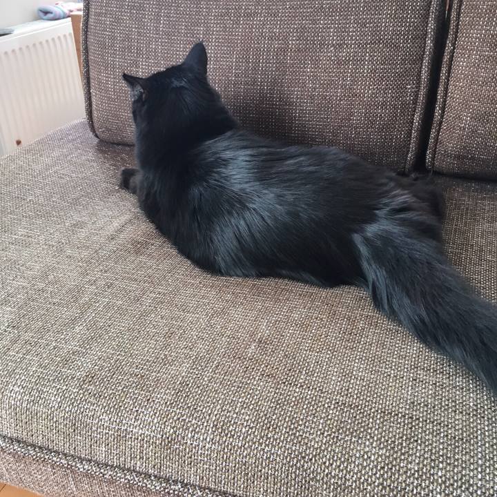 F458dc8a bb17 4b9e a413 8e3a1b528cc7