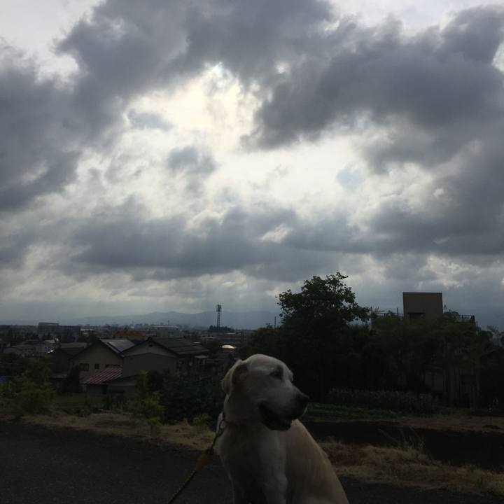 F4599389 fce5 4e79 b825 35672b7d502d