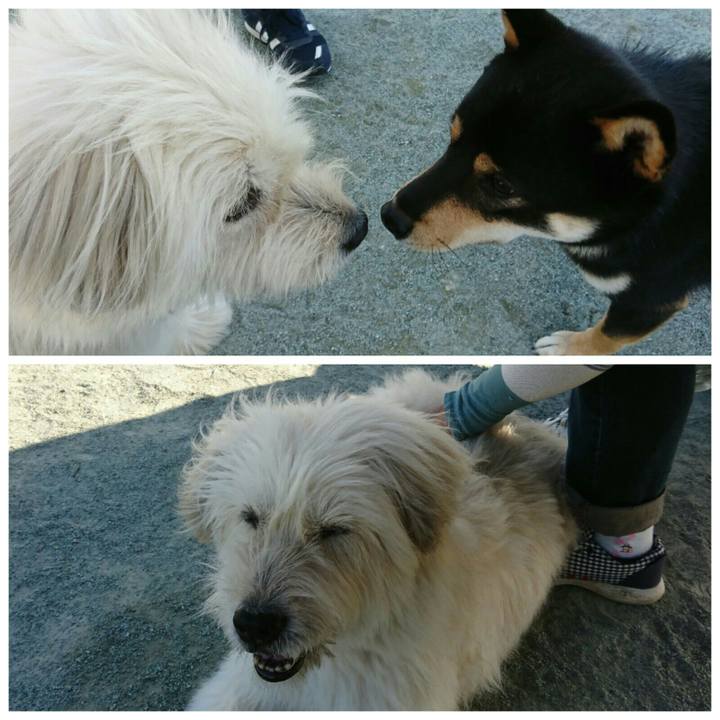 F459b6b1 4114 466c 855d 0aecabca5ae3