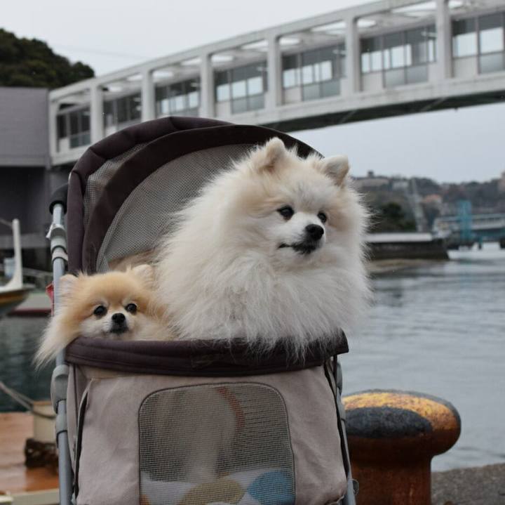 F459dec1 aba9 42f3 85c0 79388059067b